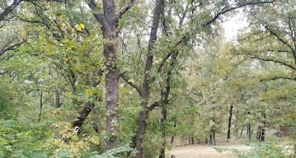 Stevie B's Texoma Retreat