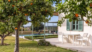 Un área junto a la piscina con mesa y sillas, un árbol de naranjos y un edificio con contraventanas verdes.