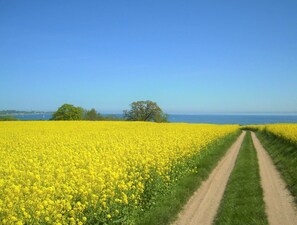 Image sans description, 4 de 9, bouton