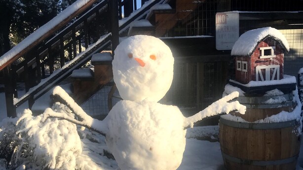 A snowman with a small house on top, a wooden barrel, and a staircase with railings. - The Barn, mini petting zoo mid term 1-6 month stays  (Warner Springs)