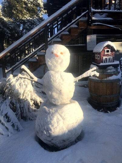 The Barn, mini petting zoo 