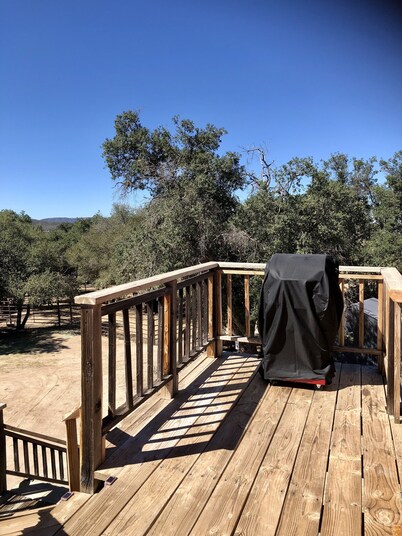 The Barn, mini petting zoo 