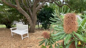 Un banc placé sous un arbre aux feuilles vertes et aux fruits secs bruns.