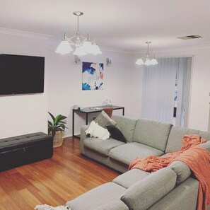 Smart TV, video games, books