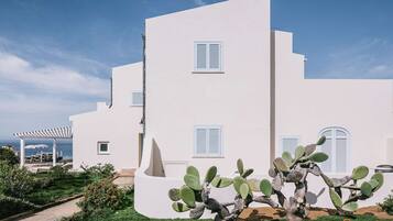 Un edificio moderno bianco con molte finestre e un cactus in primo piano.