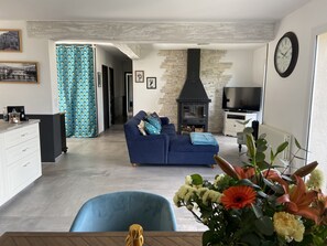 Smart TV, caminetto, lettore DVD, libri