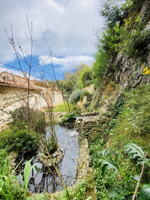 Parco della struttura