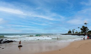 A beach with waves, people, and palm trees.