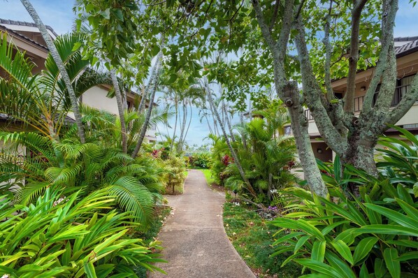 A pathway flanked by lush tropical plants and trees, leading to a building with a light-colored exterior and a balcony.