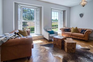 TV connectée, cheminée, chaîne hi-fi