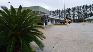 Un vaste espace de stationnement en plein air, avec un bâtiment en arrière-plan et un palmier au premier plan.