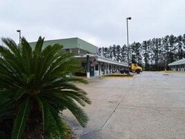 Um amplo estacionamento aberto, com um edifício ao fundo e uma palmeira em primeiro plano.