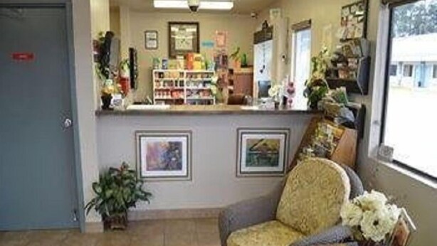 A reception area with a counter, framed pictures on the wall, a wicker chair, and a potted plant.