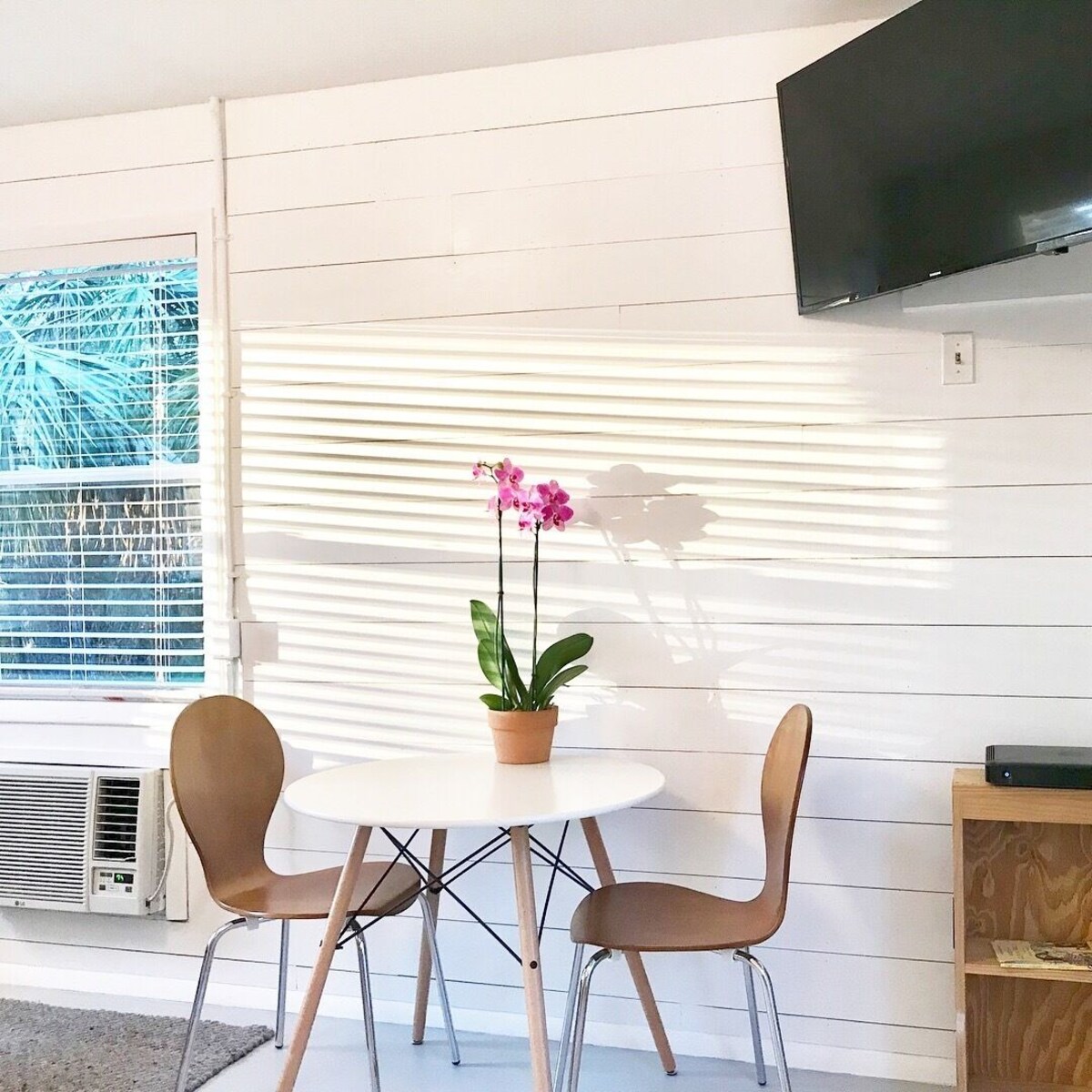 Photo 5 of The St Augustine Tiny House! Walk to everything in town