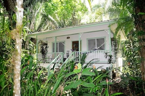 A white building with a porch surrounded by lush greenery.