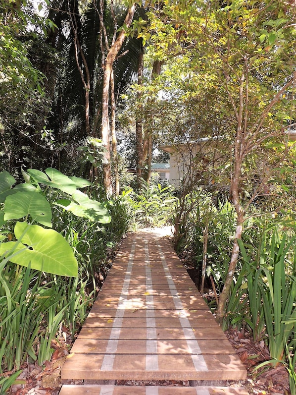 A paved pathway flanked by lush greenery and trees, leading to a building with a green roof.