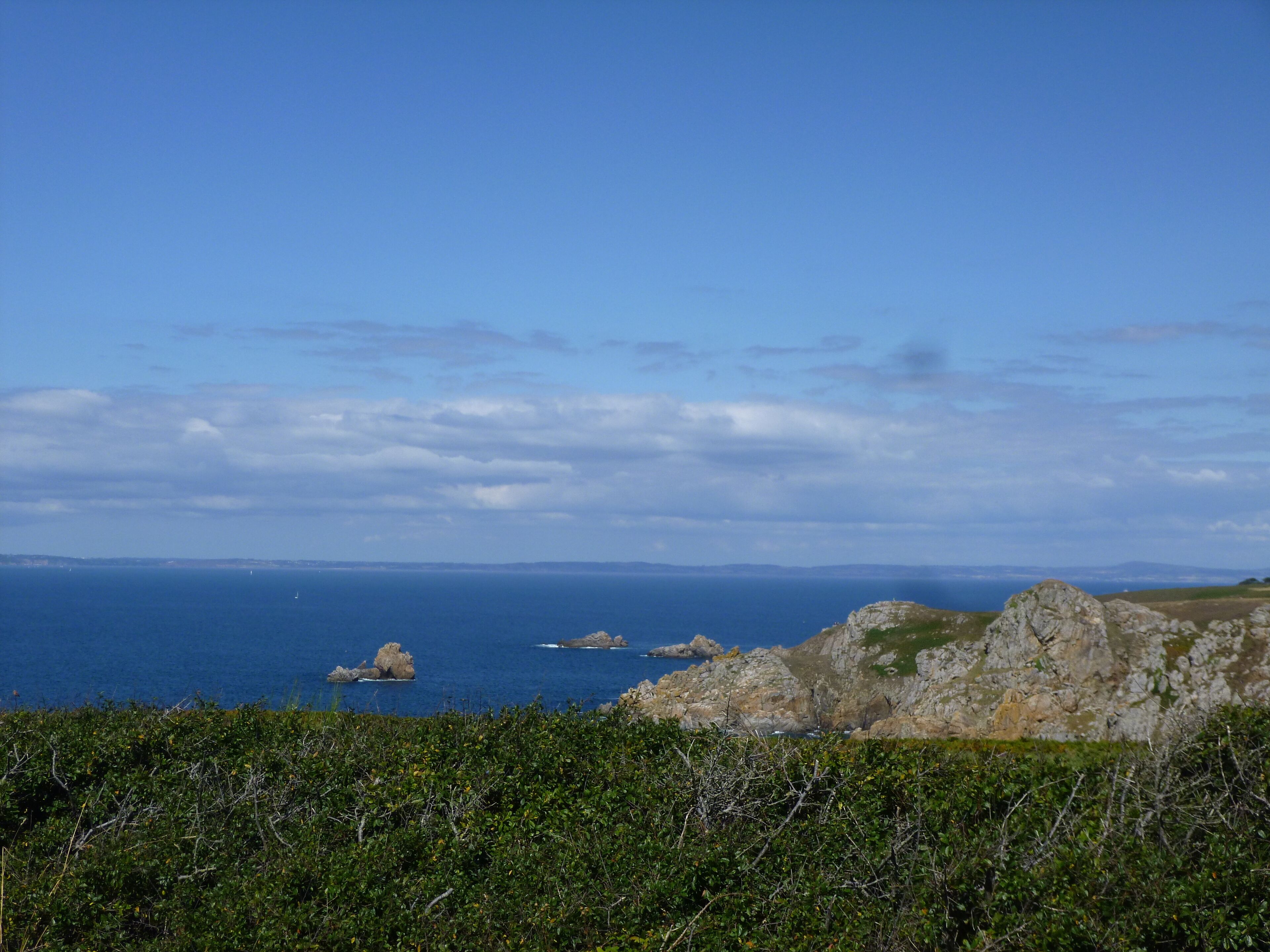 A coastal landscape with rocky terrain and dense vegetation in the foreground.