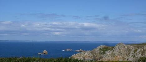 A coastal landscape with rocky terrain and dense vegetation in the foreground.