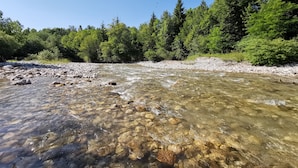 Une rivière aux eaux claires, avec des rochers visibles et une zone boisée en arrière-plan.