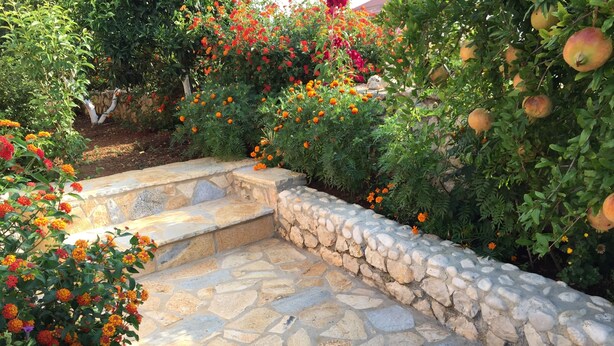 A stone staircase leading up to a stone wall, surrounded by various flowering plants. - Prefect place to spend your holidays ! (Ksamil)