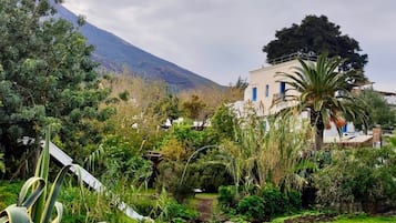 House | Property grounds