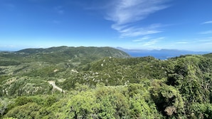 A mountainous landscape with dense greenery and a clear blue sky. - Executive Villa Scorpidi With Private Pool (Lefkada)