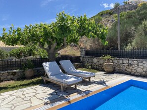 Villa | Pool - Executive Villa Meganisi With Private Pool (Lefkada)
