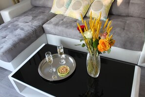 Télévision, lecteur de DVD, livres, vidéothèque