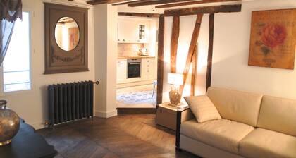 Ecrin Robespierre - Cosy & Romantic apartment with A/C in historical property