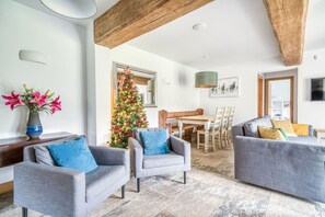 Smart TV, chimenea, libros