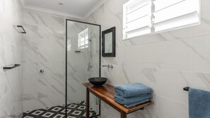 Shower, hair dryer, towels