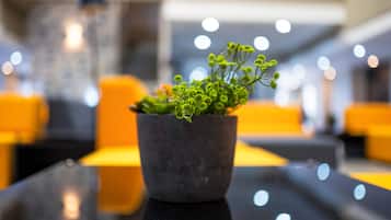 A potted plant on a reflective black table in a modern interior with yellow seating.