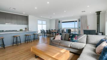 TV, fireplace, DVD player