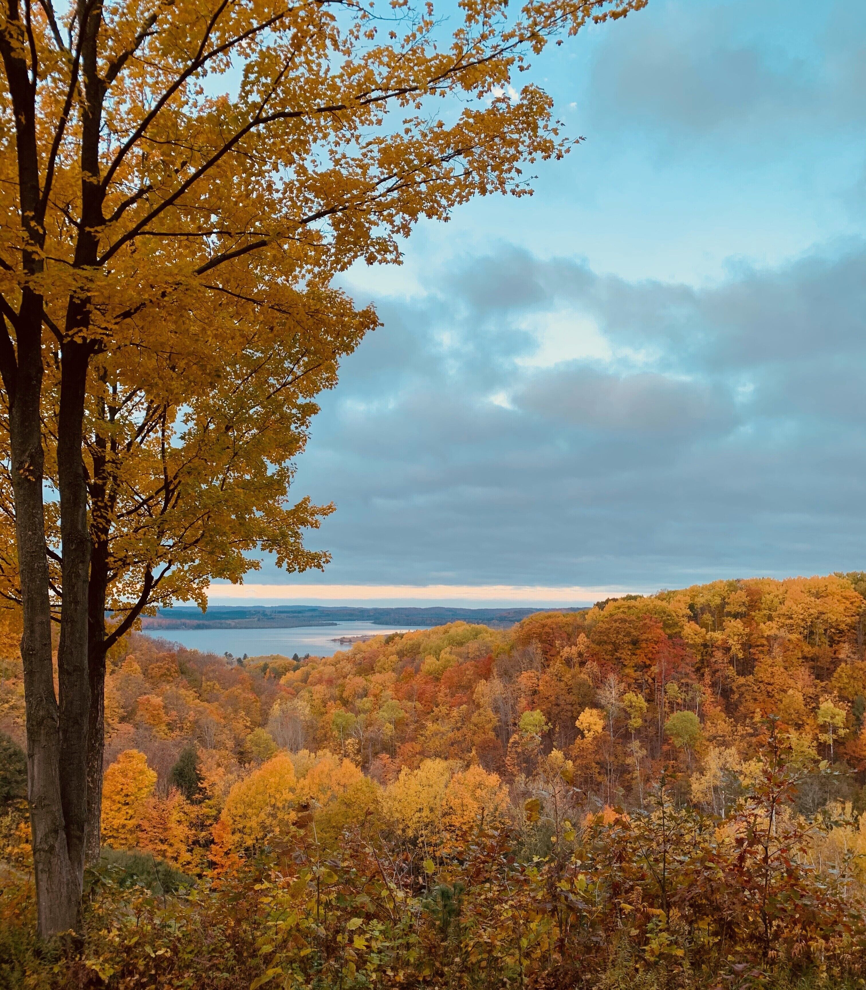 A forested landscape with autumn foliage and a distant body of water.