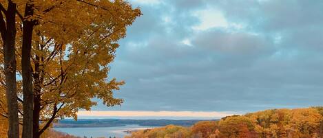 A forested landscape with autumn foliage and a distant body of water.