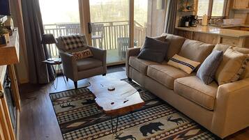 Smart TV, fireplace, books
