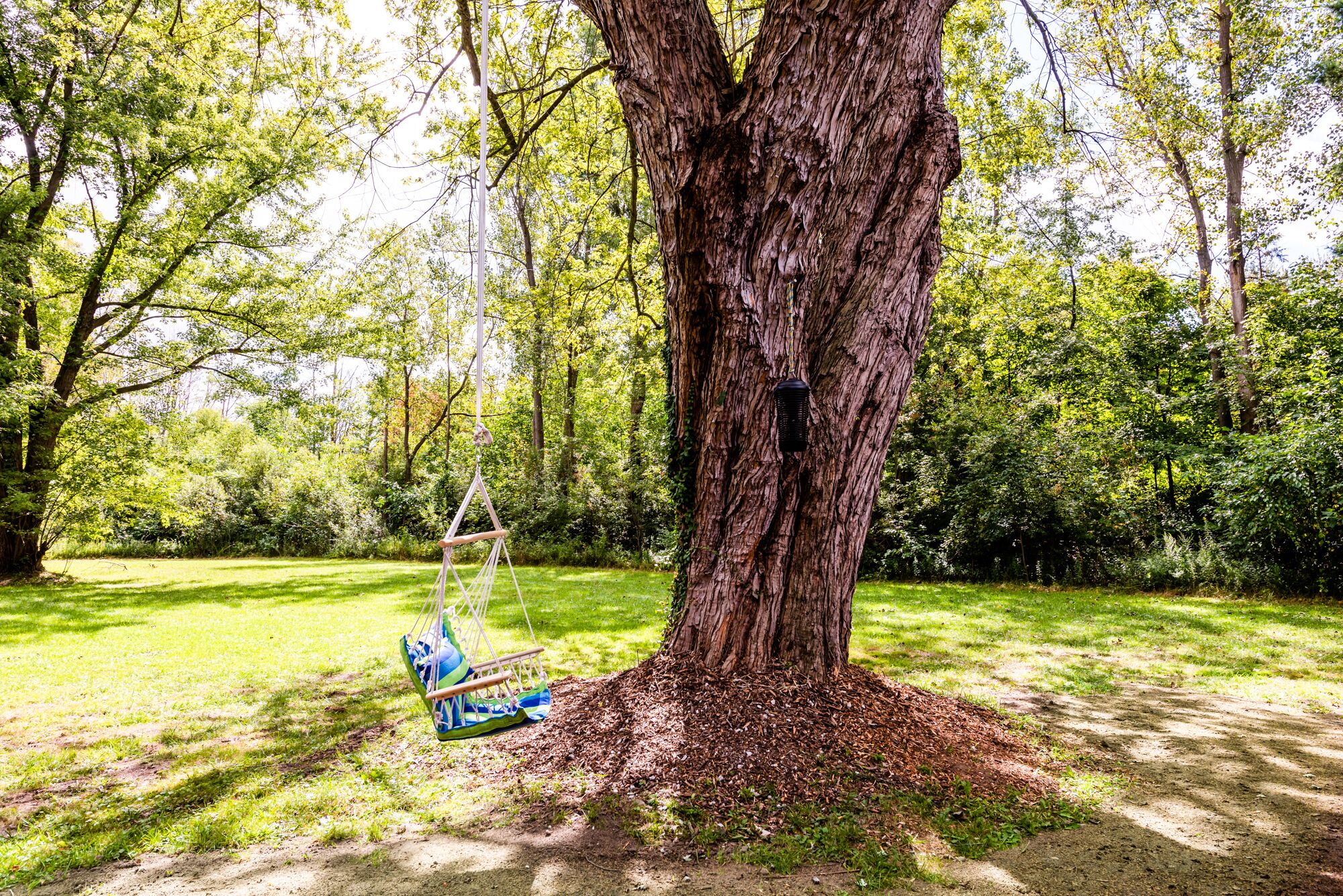 Eine Hängematte, die an einem großen Baum im Park befestigt ist.