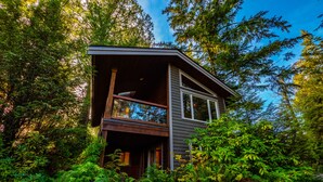 A two-story cabin surrounded by dense forest.