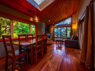 The Cabins - 2 Bedroom - Rainforest Upper Canopy!