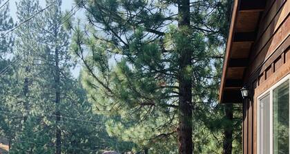 Alpine Escape - Apartment Suite in North Tahoe