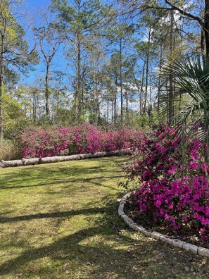 Property grounds - Private Oasis-Heated Pool-Sleeps 10-Fresh Eggs & Top Amenities-Pet friendly-cozy (St. Augustine)