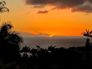Sun loungers, beach towels
