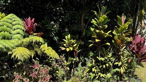 Two metal chairs and a round table in a garden with various plants and trees. - Private Studio, 10 min walk to Hakalau Beach, Hamakau Coast. 15 min to Honoli'i (Hakalau)