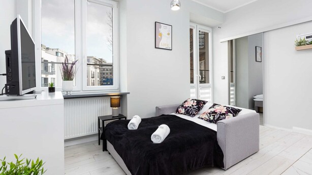 Une chambre à coucher moderne avec un lit, une télévision, une fenêtre et une plante.