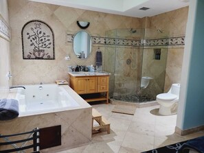 Bathtub, hair dryer, towels, soap