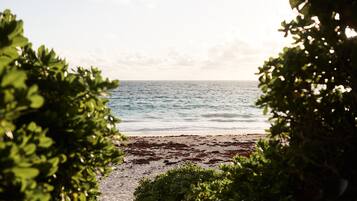 沙滩椅、沙滩毛巾