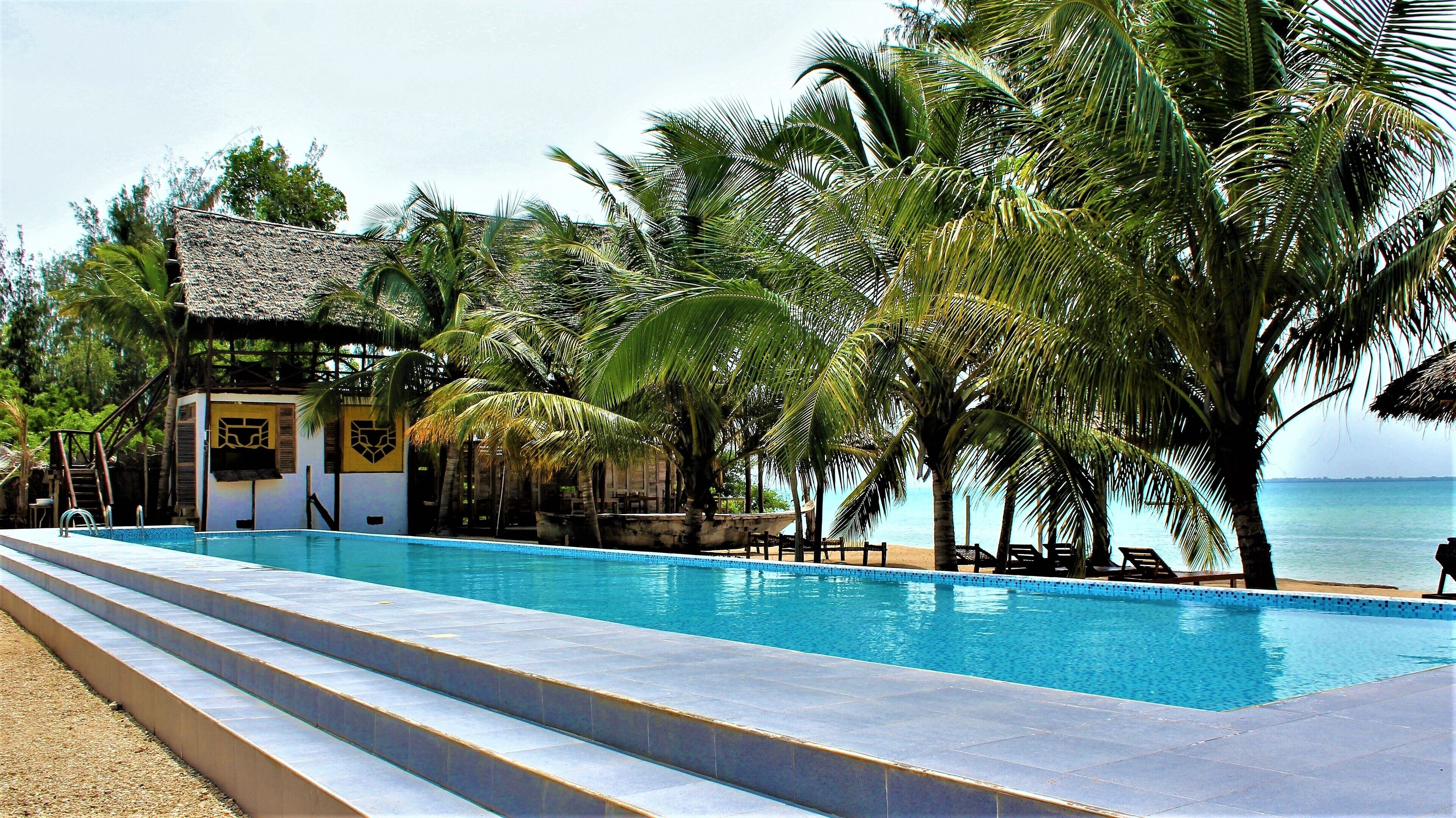 A swimming pool with steps leading into it, surrounded by palm trees and a beach.