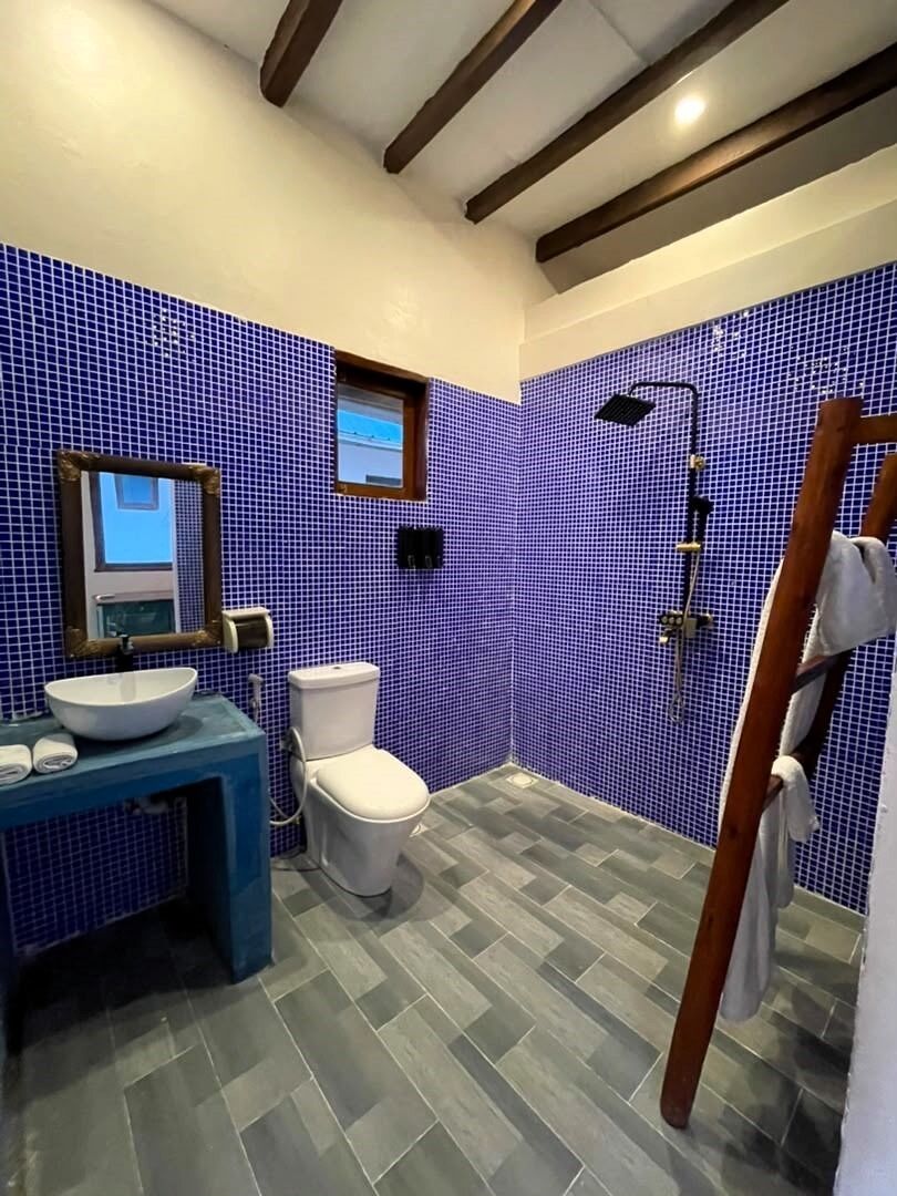 Shower, towels, soap, shampoo