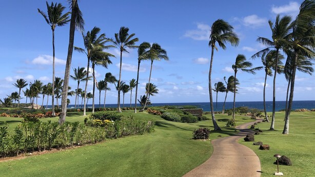 A golf course with a winding path, palm trees, and a view of the ocean. - POIPU - ENJOY THE VIEWS!   
MANUALOHOA #506  w/NEW SPLIT A/C SYSTEM (Koloa)