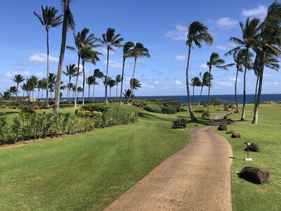 POIPU - ENJOY THE VIEWS!
MANUALOHOA #506 w/NEW SPLIT A/C SYSTEM